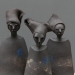 Tribu 5