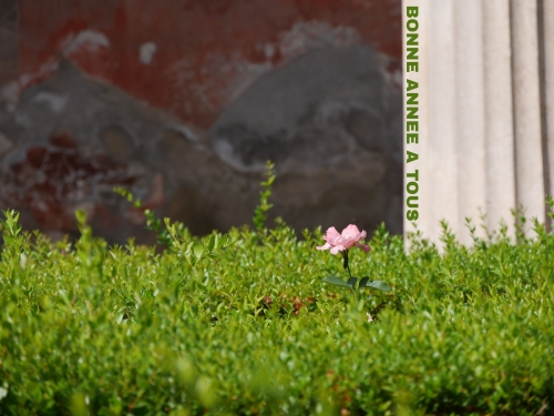 BONNE ANNEE 2026.jpg